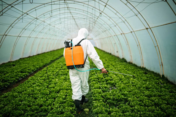 Best Pest Control Near Me  in Pelican Rapids, MN