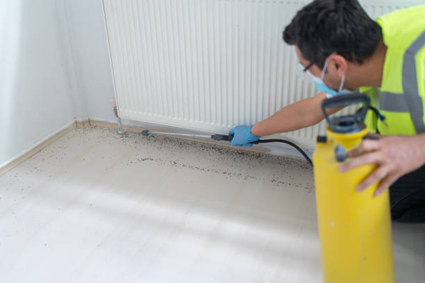 Best Mosquito Control Services  in Pelican Rapids, MN
