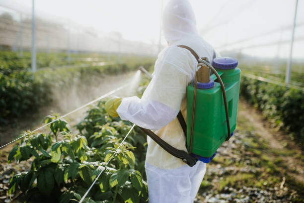 Trusted Pelican Rapids, MN Pest Control Experts